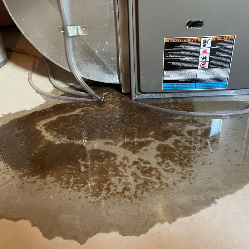 Pipe Burst and Leak Restoration in Big Sky, MT